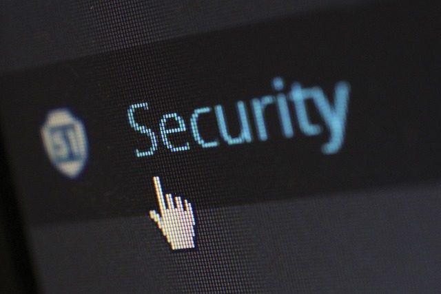 Choosing The Right WordPress Security Plugins